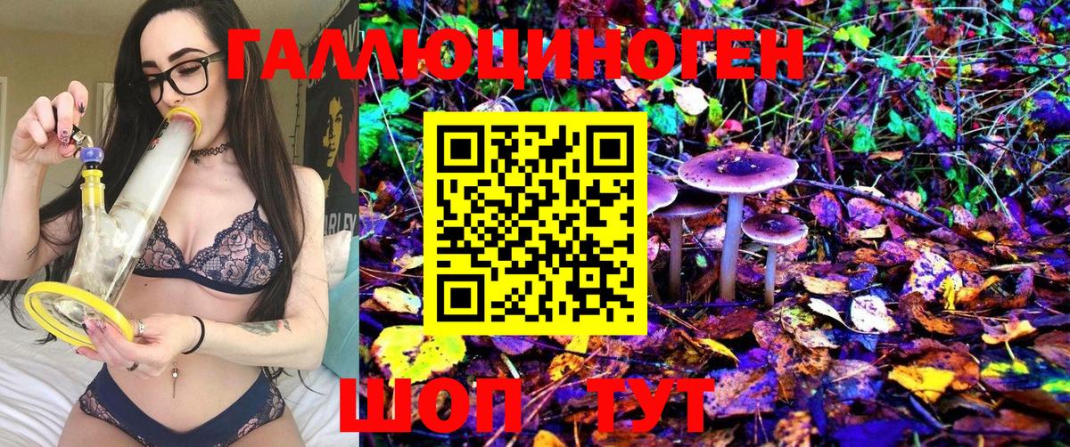 Галлюциногенные грибы Psilocybine cubensis Новый Уренгой